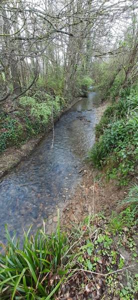 Le ruisseau de Fleyres