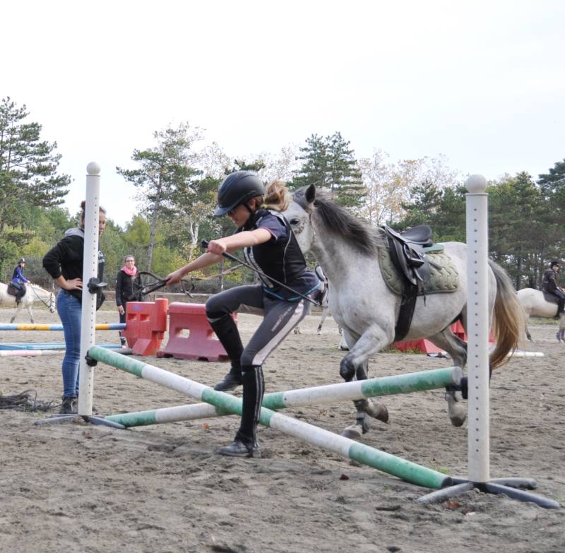 Ethologie avec son cheval